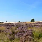 Near De Veluwe * Voorthuizen