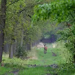Near De Veluwe * Voorthuizen