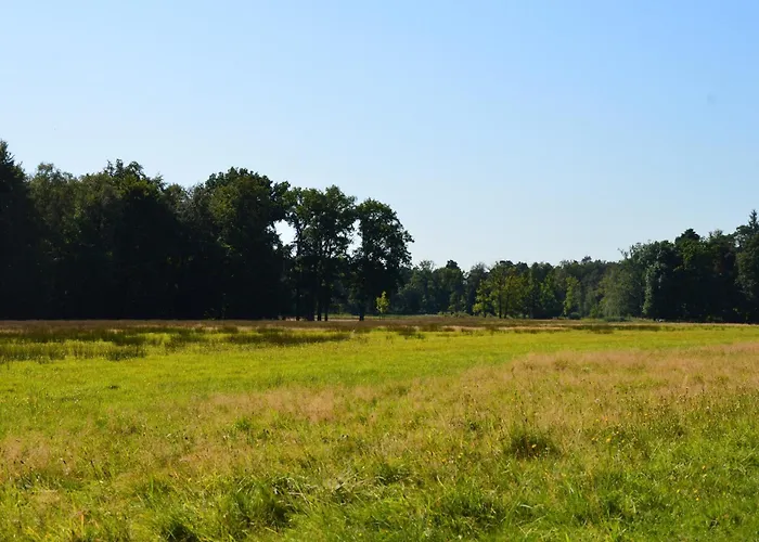 펜션 Near De Veluwe *