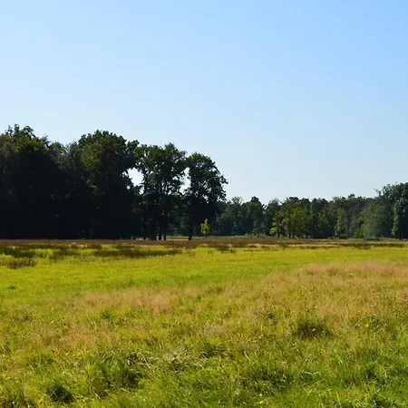 Nyaraló Near De Veluwe *