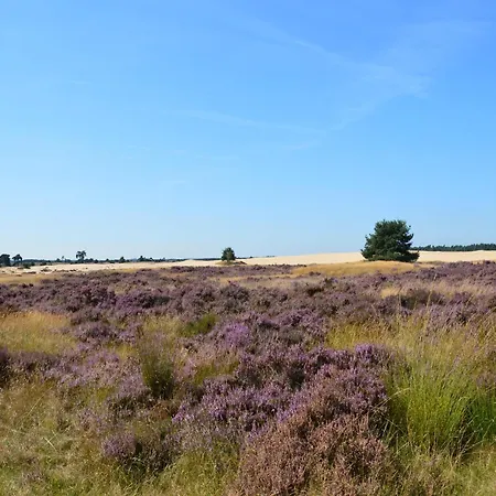 Near De Veluwe * Voorthuizen