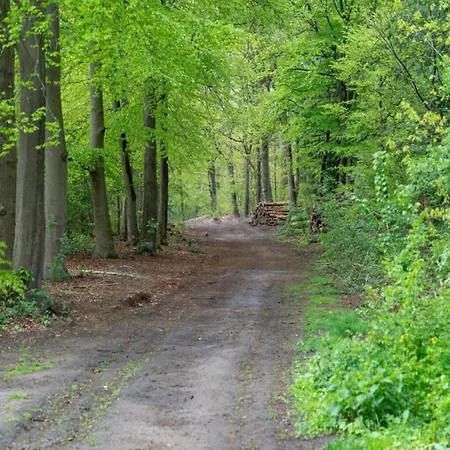 Near De Veluwe Vakantiehuis